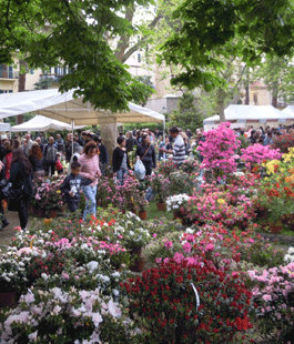 Mostra di piante e fiori: torna il mercato autunnale al Giardino dell'Orticoltura