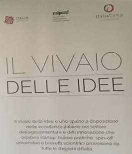 Expo Milano: presentate le due startup vincitrici della tappa al Museo Novecento