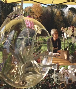 ''Chalet Fontana'': inaugura la nuova stagione del giardino con il vivaio e l'orto 'bioattivo'