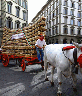 Vino, tradizione e cultura: arriva il Carro Matto a Firenze