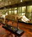Museo di Storia Naturale dell'università di Firenze, fine settimana di visite guidate e laboratorio