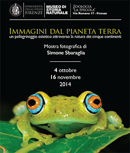 La mostra personale di Simone Sbaraglia: ''Immagini dal Pianeta Terra'' al Museo di Zoologia
