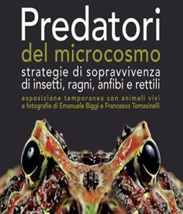 ''Predatori del microcosmo'' in mostra al Museo La Specola