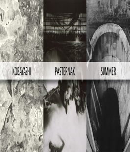 Keisei Kobayashi, Maurice Pasternak, Evan Summer in mostra alla Galleria Il Bisonte di Firenze