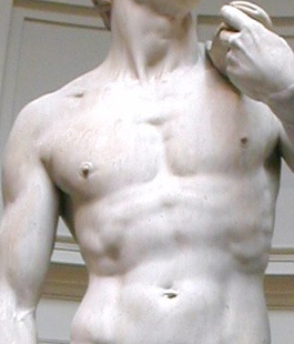 Lo stile anatomico di Michelangelo: conferenza di Massimo Gulisano e Pietro Antonio Bernabei