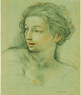 Studi di Raffaello, Rubens, Tiepolo e Vasari in mostra fino a Settembre al Museo Horne