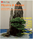 XXIX edizione della ''Mostra di Bonsai'' al Parterre di Piazza Libertà