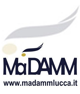 Master universitari MaDAMM e MAI: borse di studio da 3.000 euro