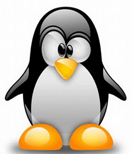 ''GNU/Linux: una alternativa al software proprietario'', video-infopoint a Le Murate