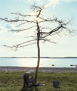 ''Sacrificio'' di Andrej Tarkovskij in versione restaurata al Cinema La Compagnia