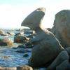 vde2008 0418