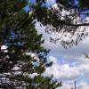 Massimo Acciai - P1010015