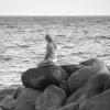 vde2008 0354
