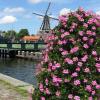 vde2008 0434