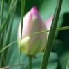 vde2008 0355