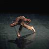 blackbox20