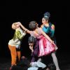 teatrorifredi manimetion 04