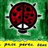 matitepace2008 107 1