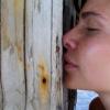 vde2008 0260