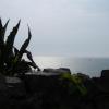 vde2008 0315