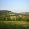 caponnetto lorenzo DSCN0750