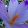 vde2008 0316