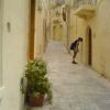 vde2008 0356