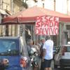 vde2008 0525