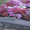 vde2008 0460