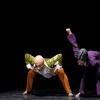 teatrorifredi manimetion 02