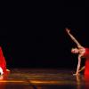 danceniccolini2