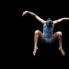 festivalballet massa 2