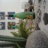 spoerri5