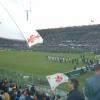 fiorentina spareggioA 13