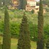 caponnetto lorenzo DSCN0760