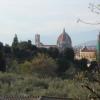Caponnetto287
