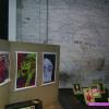 fotogallery pittura