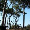 vde2008 0258