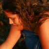 vde2008 0499