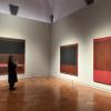 Rothko a Firenze 009