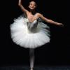 danceniccolini4