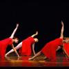 danceniccolini3