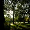 vde2008 0295