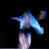 florence dance company02