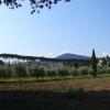 Caponnetto019