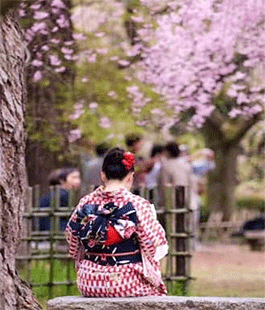 La "primavera giapponese" sta per iniziare: il calendario eventi dell'associazione Lailac