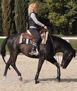 Centro Ippico Toscano: campionato di equitazione western alle Cascine
