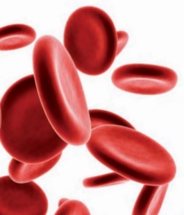 Coronavirus Toscana, test sierologico gratuito per donatori periodici di sangue e plasma