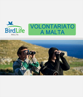 Birdlife Malta cerca 2 volontari per un progetto ESC