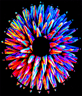 I colori del Bosone di Higgs. Percorsi tra Arte e Scienza all'Accademia delle Arti del Disegno